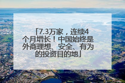 7.3万家，连续4个月增长！中国始终是外商理想、安全、有为的投资目的地