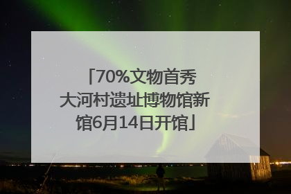 70%文物首秀 大河村遗址博物馆新馆6月14日开馆