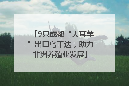 9只成都“大耳羊”出口乌干达，助力非洲养殖业发展