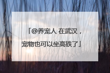 @养宠人 在武汉，宠物也可以坐高铁了