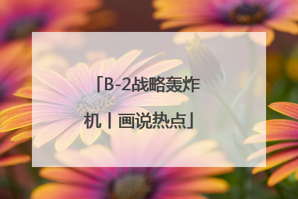 B-2战略轰炸机丨画说热点