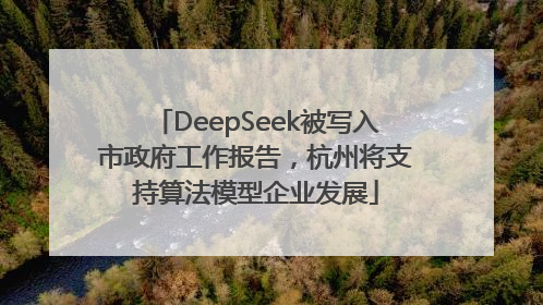 DeepSeek被写入市政府工作报告，杭州将支持算法模型企业发展